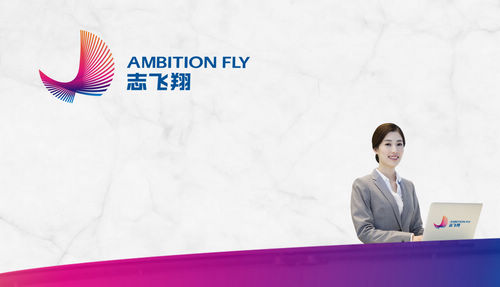 志飛翔教育集團VIS形象系統設計 行于思品牌設計為志飛翔教育集團設計的VIS形象系統